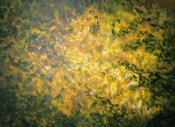 Zonlicht door bladeren